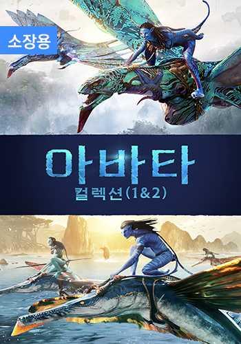아바타 컬렉션